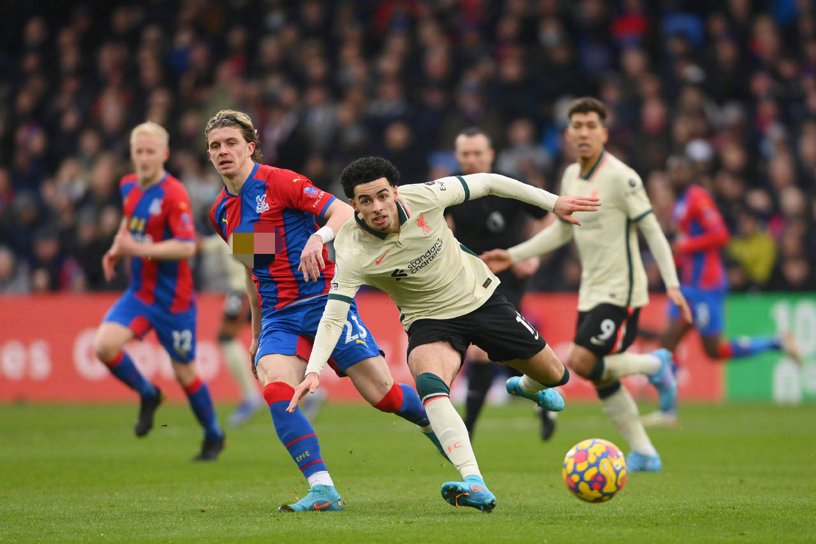 他的主要对 他的主要对